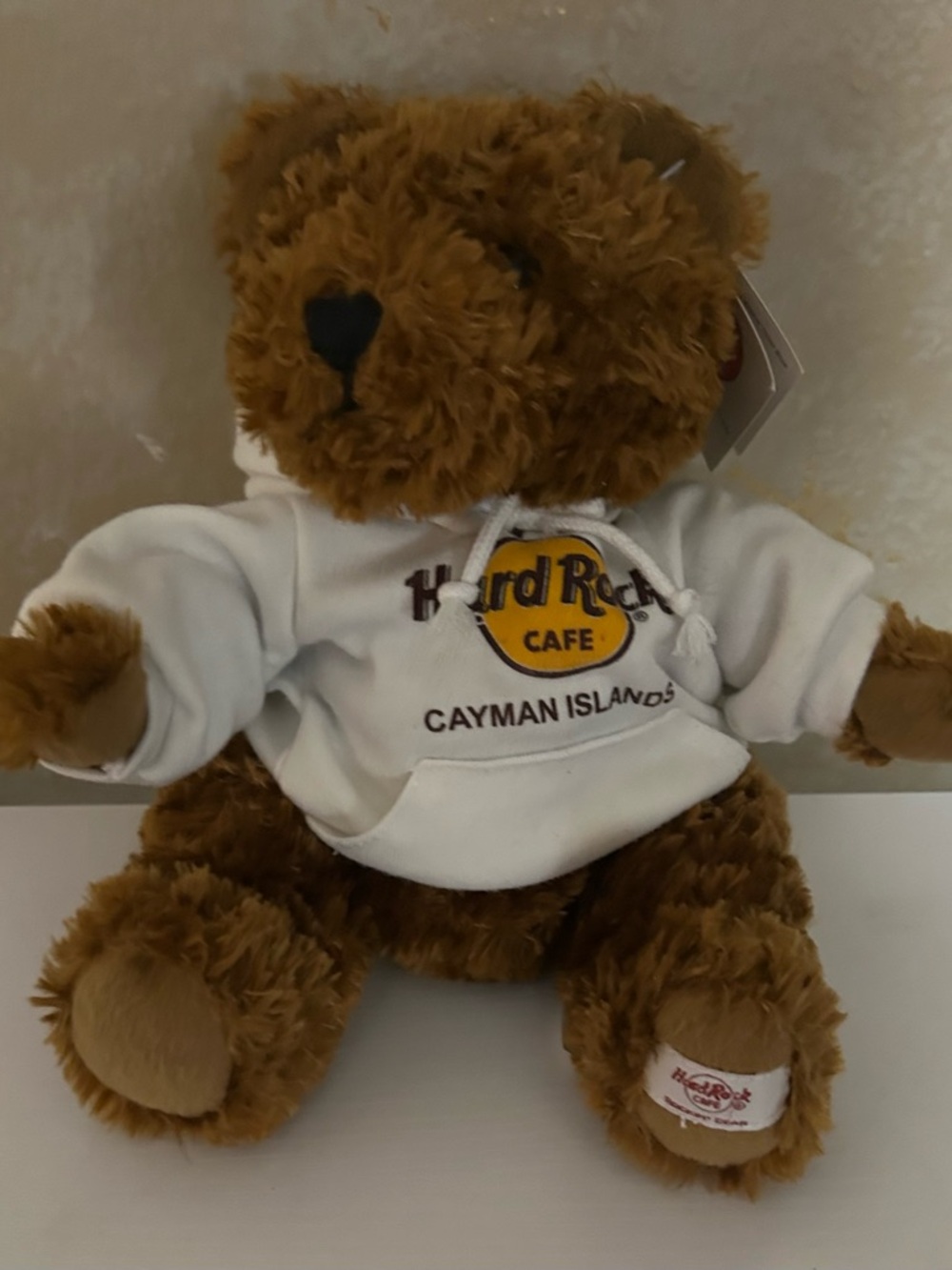 Hard Rock Cafe  authentic Teddy Bear  Cayman Island